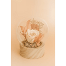 Preserved Ivory Rose Glass Globe - Bloom Fleurs & Cadeaux