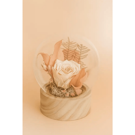 Preserved Ivory Rose Glass Globe - Bloom Fleurs & Cadeaux