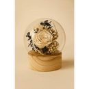Preserved Ivory Rose Glass Globe - Bloom Fleurs & Cadeaux
