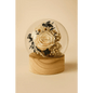 Preserved Ivory Rose Glass Globe - Bloom Fleurs & Cadeaux