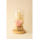 Preserved Pink Rose Glass Dome - Bloom Fleurs & Cadeaux