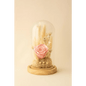 Preserved Pink Rose Glass Dome - Bloom Fleurs & Cadeaux