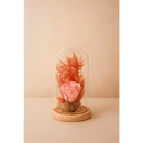 Preserved Pink Rose Glass Dome - Bloom Fleurs & Cadeaux