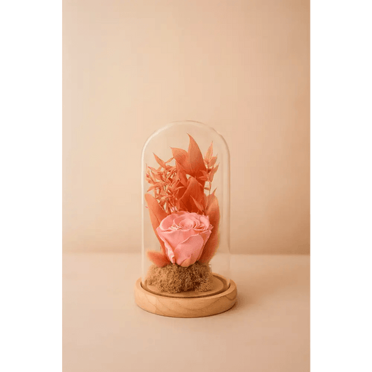 Preserved Pink Rose Glass Dome - Bloom Fleurs & Cadeaux