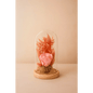 Preserved Pink Rose Glass Dome - Bloom Fleurs & Cadeaux