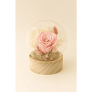 Preserved Pink Rose Glass Globe - Bloom Fleurs & Cadeaux