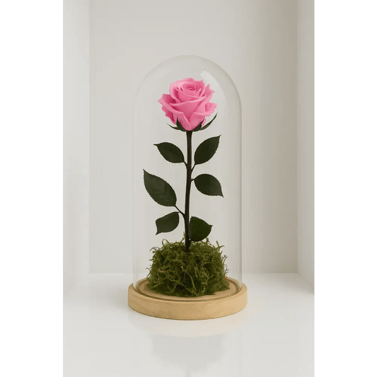 Preserved Pink Rose Tall Glass Dome - Bloom Fleurs & Cadeaux