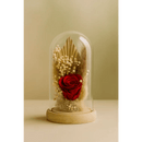 Preserved Red Rose Glass Dome - Bloom Fleurs & Cadeaux