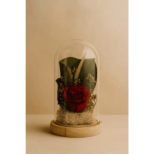 Preserved Red Rose & Greens Glass Dome - Bloom Fleurs & Cadeaux