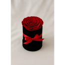 Red Preserved Rose in Black Mini Velvet Box - Bloom Fleurs & Cadeaux