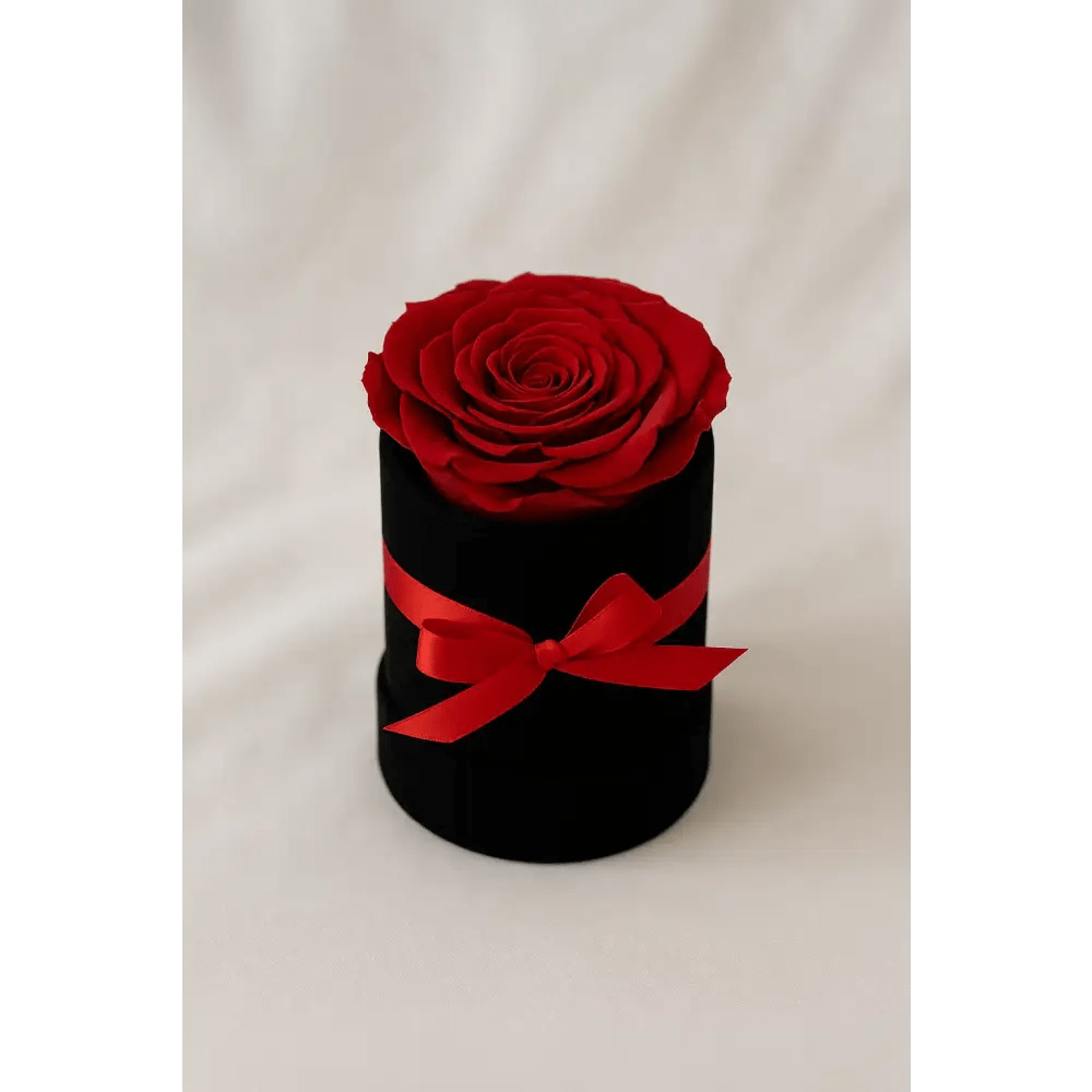 Red Preserved Rose in Black Mini Velvet Box - Bloom Fleurs & Cadeaux