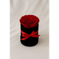 Red Preserved Rose in Black Mini Velvet Box - Bloom Fleurs & Cadeaux