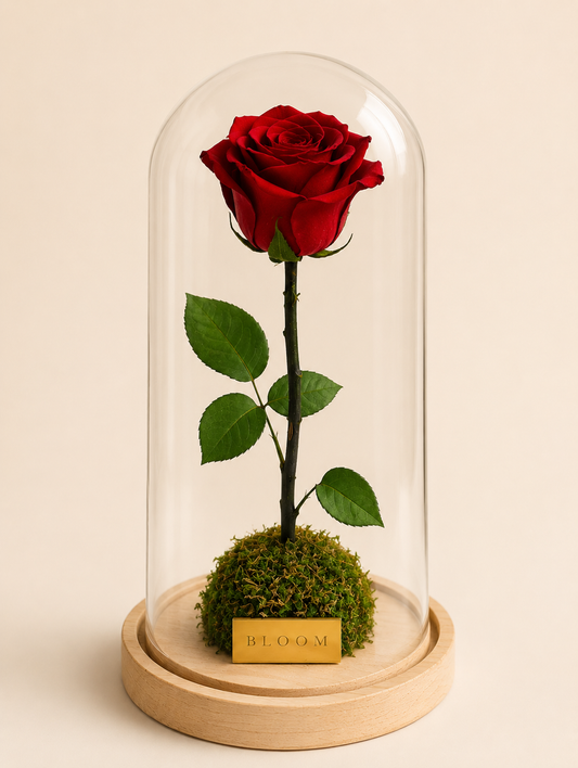 Red Preserved Rose in Glass Dome