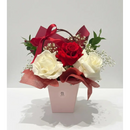 The Bloom Red & White Mini