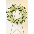 The Lily Sympathy #4