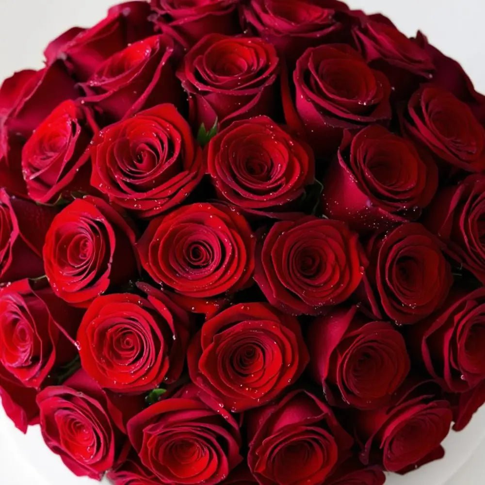 Timeless Red Roses - Bloom Fleurs & Cadeaux